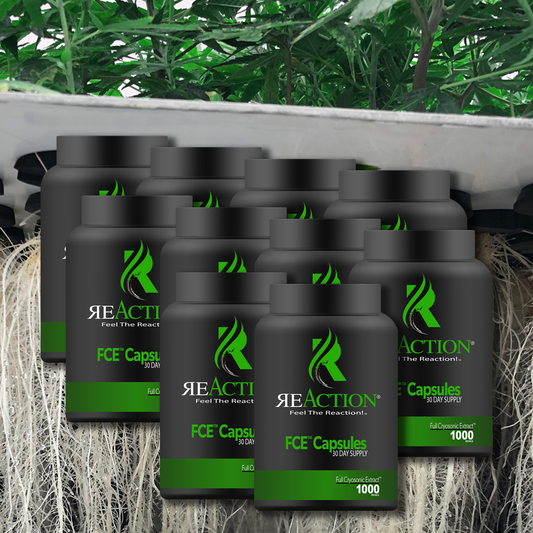 FCE™ Capsules 10 Pack Bundle - 30ct. each