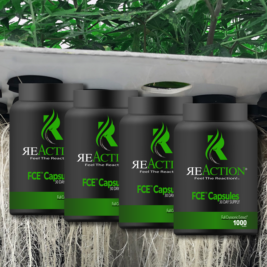 FCE™ Capsules 4 Pack Bundle - 30ct. each