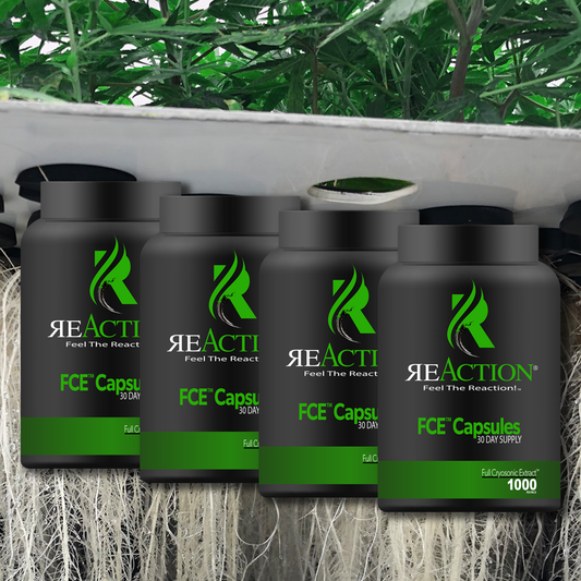 FCE™ Capsules 4 Pack Bundle - 30ct. each