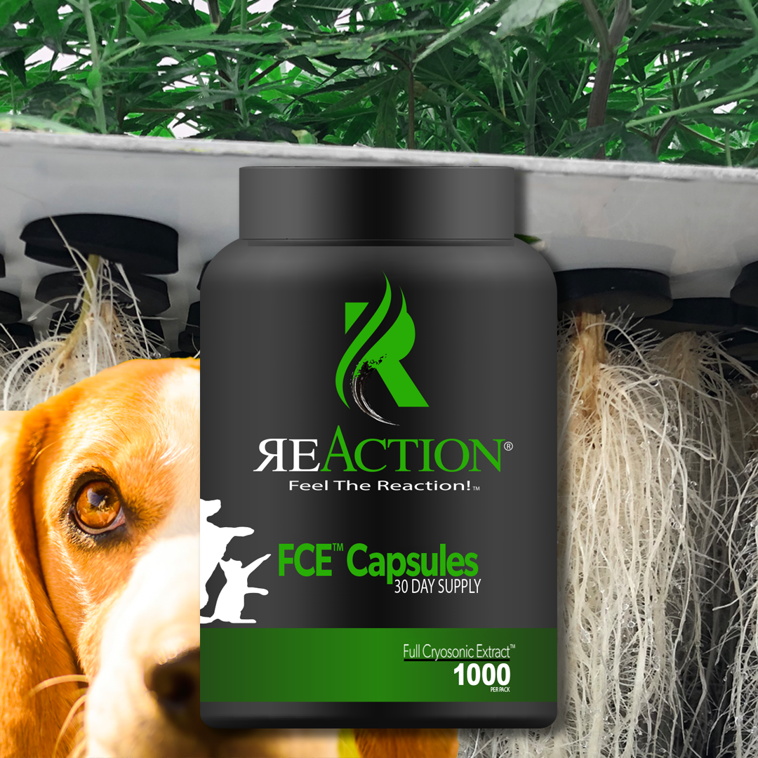 FCE™ Pet Capsules