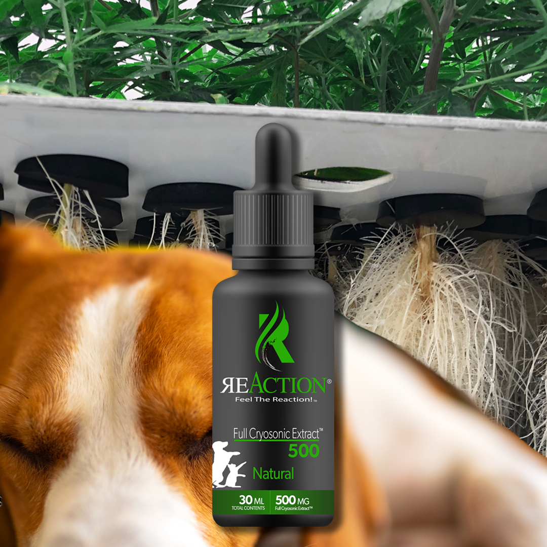 Natural Pet Tincture