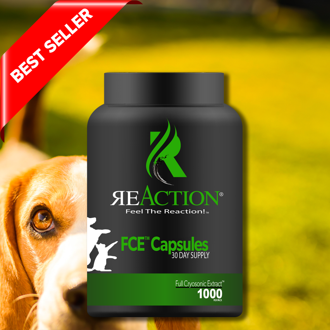 FCE™ Pet Capsules