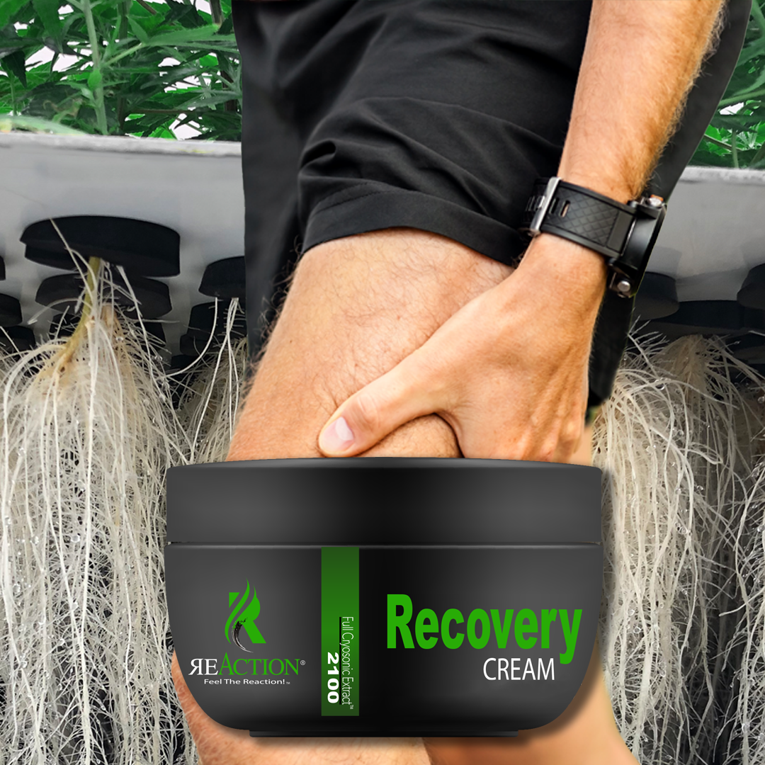 Recovery Topical Cream - Salve