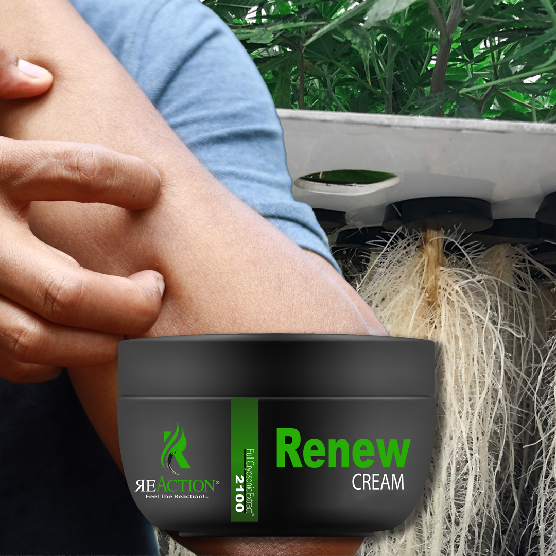 Renew Derma Skin Care - Salve