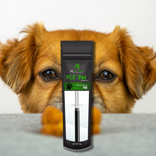 Pet Treat Syringe